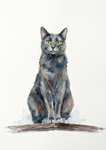 Kato Watercolor Portrait – Digital Download Art Print